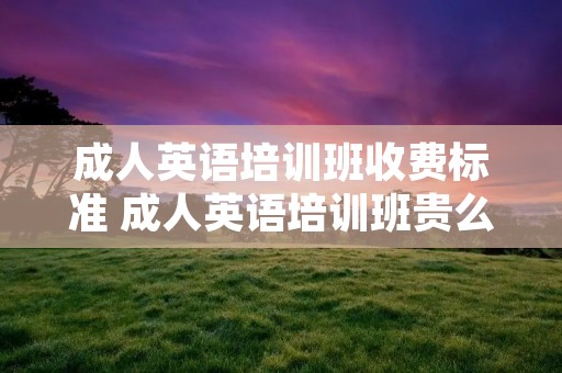 成人英语培训班收费标准 成人英语培训班贵么?价格是多少?