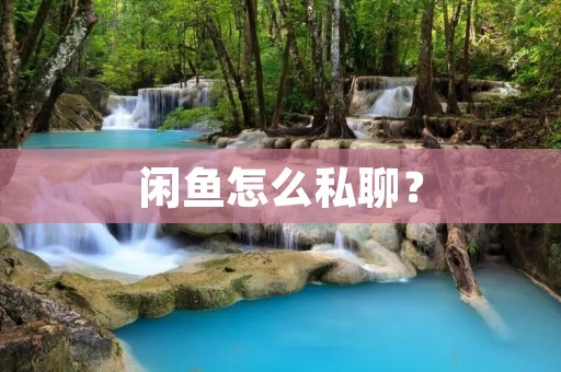 闲鱼怎么私聊?