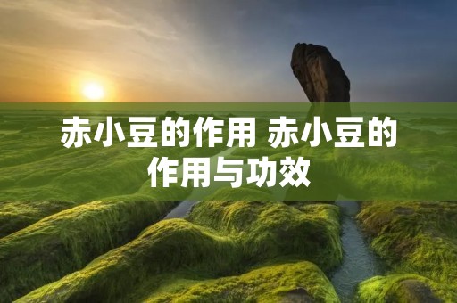 赤小豆的作用 赤小豆的作用与功效