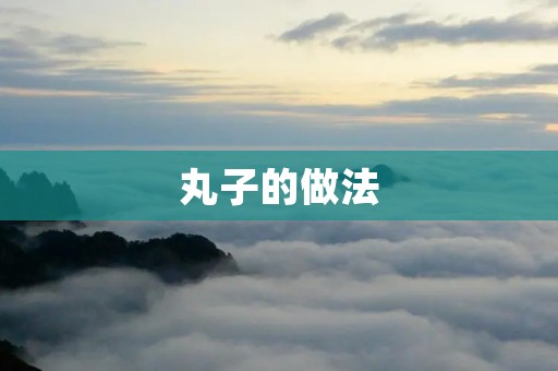 丸子的做法:美味丸子的制作方法详解 丸子的做法:美味丸子的制作方法详解
