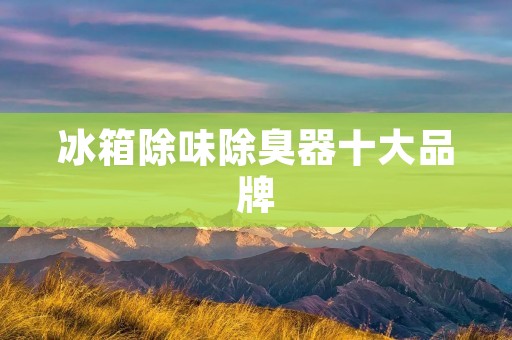 冰箱除味除臭器十大品牌:解决冰箱异味问题的终极选择 冰箱除味除臭器十大品牌:解决冰箱异味问题的终极选择