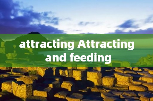 attracting Attracting and feeding