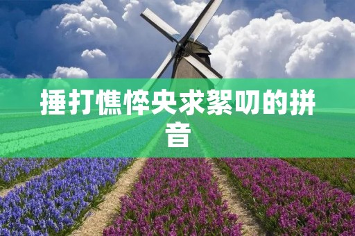 捶打憔悴央求絮叨的拼音
