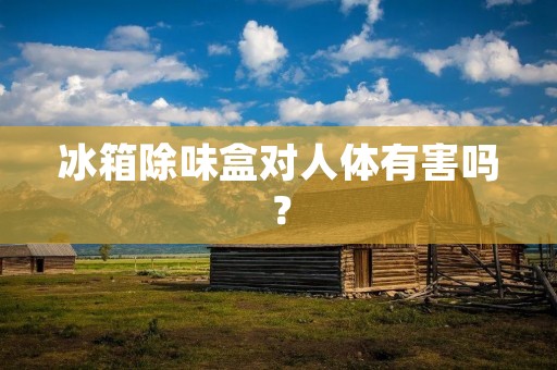 冰箱除味盒对人体有害吗？