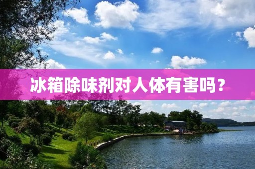 冰箱除味剂对人体有害吗? 冰箱除味剂对人体有害吗?