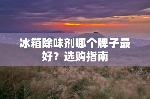 冰箱除味剂哪个牌子最好?选购指南 冰箱除味剂哪个牌子最好?选购指南