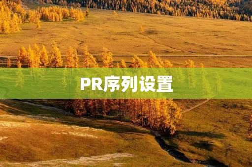 PR序列设置:打造有效的公关传播策略
