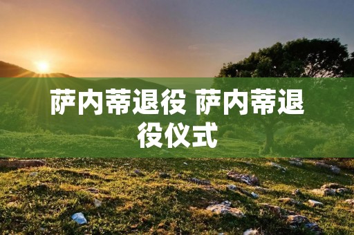 萨内蒂退役 萨内蒂退役仪式