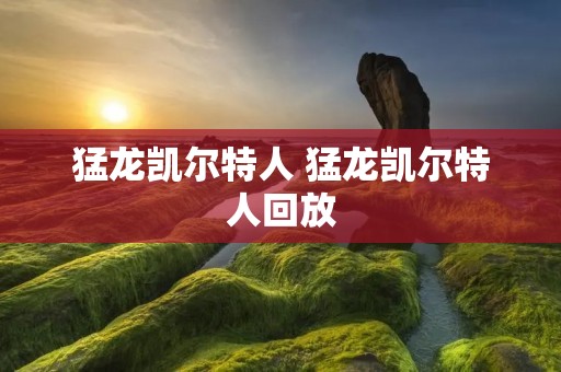 猛龙凯尔特人 猛龙凯尔特人回放