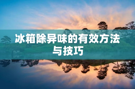 冰箱除异味的有效方法与技巧 冰箱除异味的有效方法与技巧