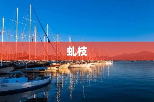 虬枝:一种独特的自然奇观