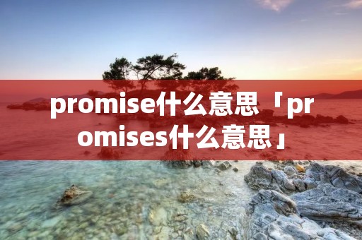 promise什么意思「promises什么意思」