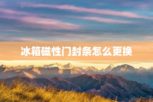 冰箱磁性门封条怎么更换