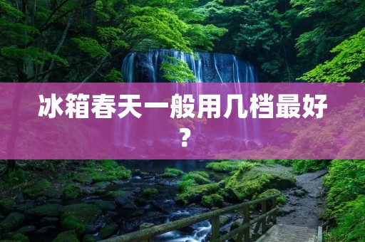 冰箱春天一般用几档最好? 冰箱春天一般用几档最好?