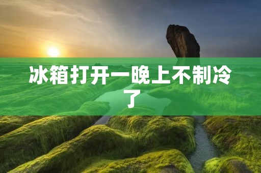 冰箱打开一晚上不制冷了：原因分析及解决方法