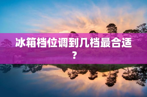 冰箱档位调到几档最合适？