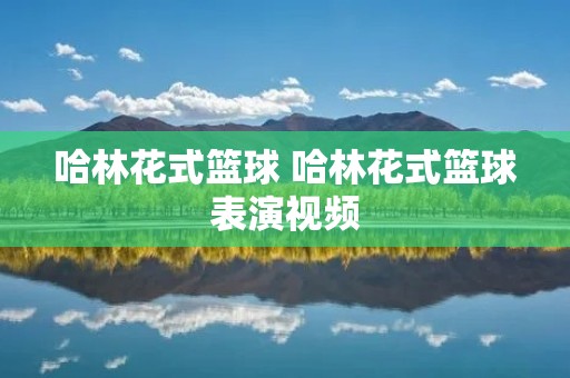 哈林花式篮球 哈林花式篮球表演视频