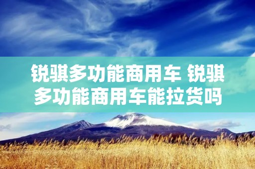 锐骐多功能商用车 锐骐多功能商用车能拉货吗