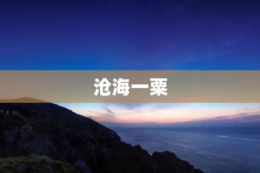 沧海一粟:微不足道的存在