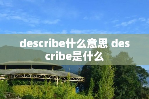 describe什么意思 describe是什么
