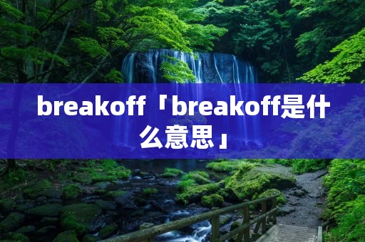 breakoff「breakoff是什么意思」