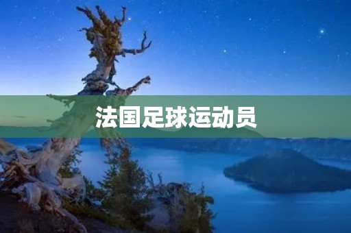 法国足球运动员：传奇与荣耀