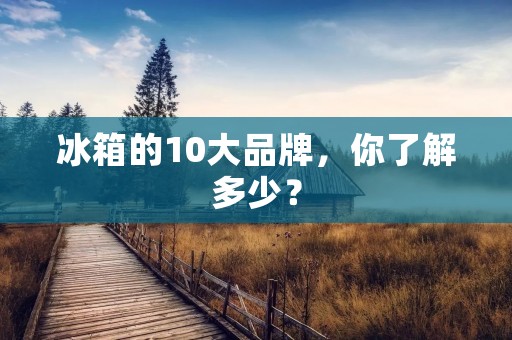 冰箱的10大品牌，你了解多少？