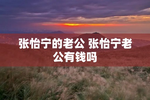 张怡宁的老公 张怡宁老公有钱吗