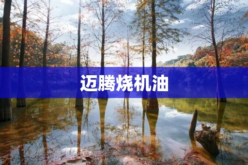 迈腾烧机油：原因、影响与解决方案