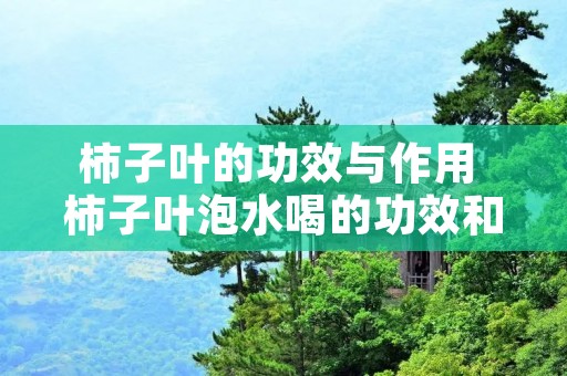 柿子叶的功效与作用 柿子叶泡水喝的功效和作用