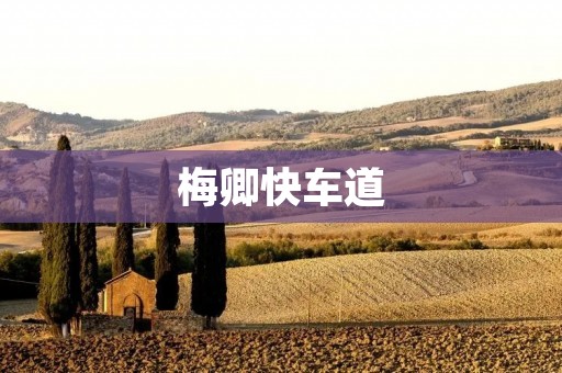 梅卿快车道:提升城市交通效率的新选择
