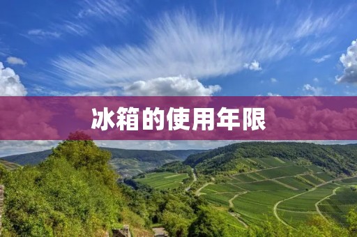 冰箱的使用年限:了解冰箱寿命的关键因素 冰箱的使用年限:了解冰箱寿命的关键因素
