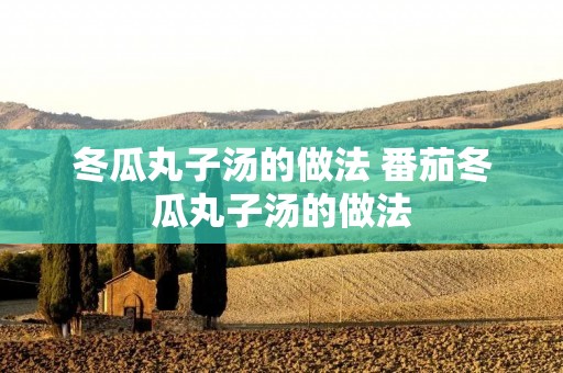 冬瓜丸子汤的做法 番茄冬瓜丸子汤的做法