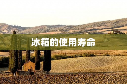 冰箱的使用寿命：延长冰箱寿命的方法与注意事项