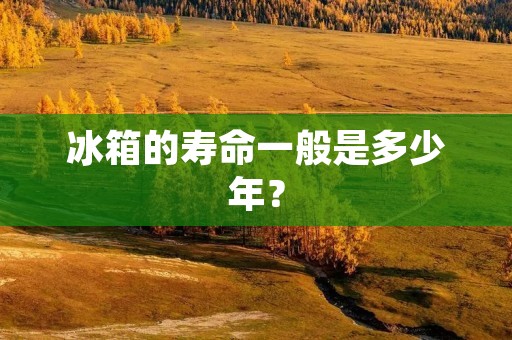冰箱的寿命一般是多少年? 冰箱的寿命一般是多少年?