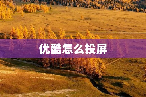 优酷怎么投屏:一步步教你实现大屏影音享受