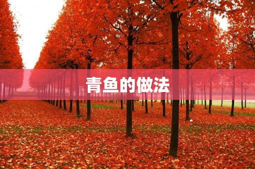青鱼的做法：美味佳肴的制作秘籍