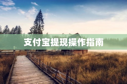 支付宝提现操作指南：轻松解决资金转移问题