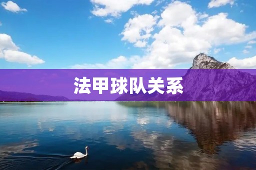 法甲球队关系：探索法国足球联赛中球队之间的纷争与合作关系