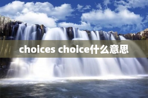 choices choice什么意思 choices choice什么意思