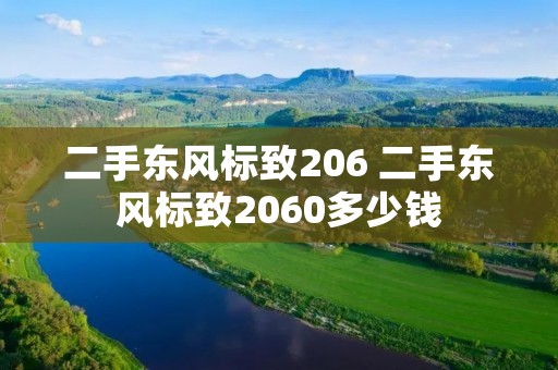 二手东风标致206 二手东风标致2060多少钱
