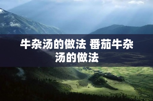 牛杂汤的做法 番茄牛杂汤的做法
