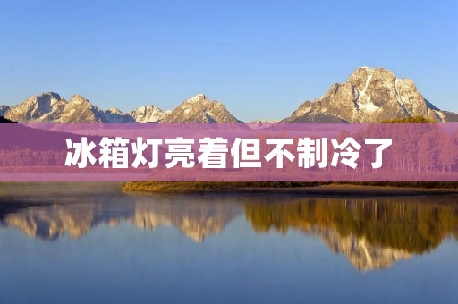 冰箱灯亮着但不制冷了:可能的原因及解决办法 冰箱灯亮着但不制冷了:可能的原因及解决办法