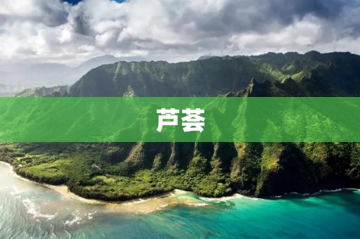 芦荟:美容佳品之不可或缺的秘密