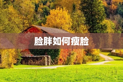 脸胖如何瘦脸:有效的方法和技巧
