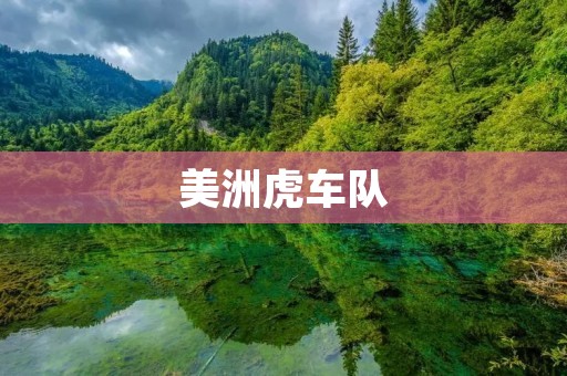 美洲虎车队：燃烧赛道上的热血战士