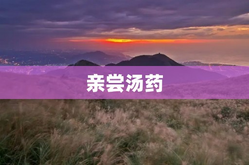 亲尝汤药:传统医学的瑰宝