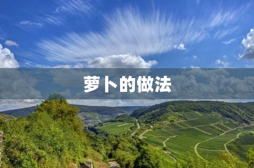 萝卜的做法:多样美味,满足你的味蕾 萝卜的做法:多样美味,满足你的味蕾