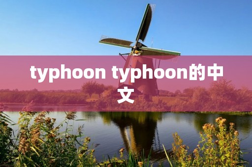 typhoon typhoon的中文