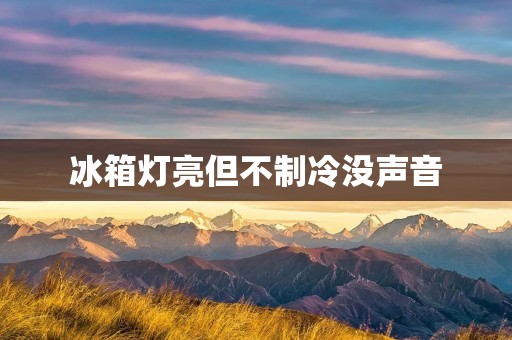 冰箱灯亮但不制冷没声音:如何解决? 冰箱灯亮但不制冷没声音:如何解决?